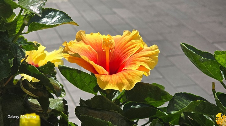 chơi game trên s24 ultra tại azmobile_net